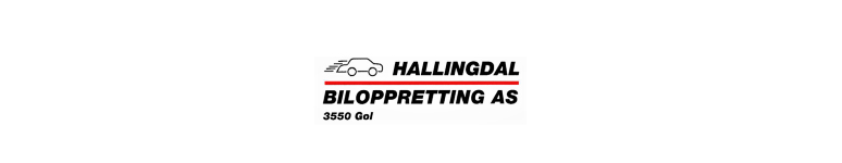 HALLINGDAL BILOPPRETTING AS